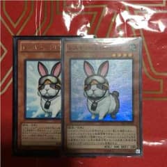 レスキューラビット 2枚のサムネイル