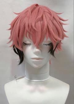 にじさんじ 赤城ウェン コスプレウィッグ - メルカリ