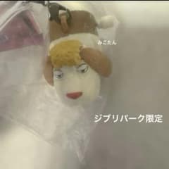 ジブリパーク限定 ハウルの動く城 ヒン キーホルダー