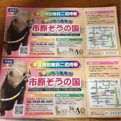市原ぞうの国  ペア無料招待券のサムネイル