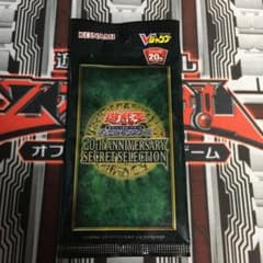 20th ANNIVERSARY SECRET SELECTIONのサムネイル