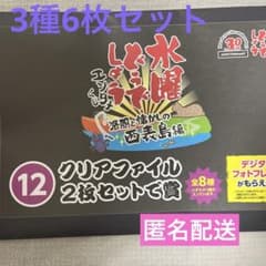 水曜どうでしょう エンタメくじ～激闘と懐かしの西表島編～ファイル 3種6枚セットのサムネイル