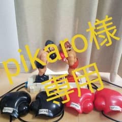 ★pikaro様専用★拳闘士PART2【中古品・使用感あり】のサムネイル