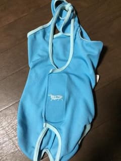 エリザベスウェアー ソフトカラーのサムネイル