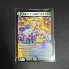 大集合!アカネ&アサギ&コハク　ワンオンフェアリー　ホイル デュエルマスターズ 大集合！アカネ＆アサギ＆コハク ホイル - メルカリ