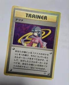 ナツメ　ヤマブキシティジムのサムネイル