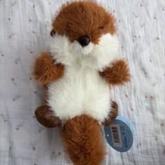 [新品]ふわりーべいびー〜かわうそちゃん〜クッキーのサムネイル