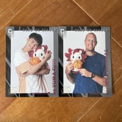 川崎ブレイブサンダーストレーディングカードのサムネイル