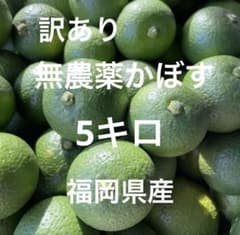 訳あり　無農薬かぼす　5キロ - 5
