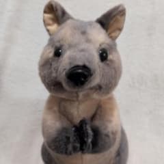 ちょこんとアニマル　おねだり　クオッカ ワラビー ぬいぐるみのサムネイル