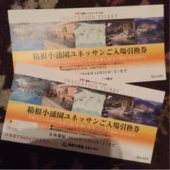 残り1枚！早い者勝ち！ 箱根ユネッサン 入場引換券のサムネイル