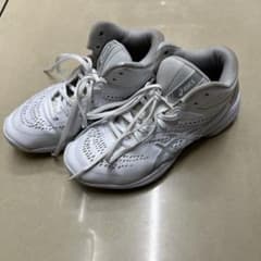 asics  ゲルフープ V15 エキストラ ワイド　24.5cmのサムネイル