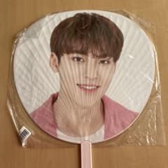 SEVENTEEN セブチ セブンティーン ミンギュ 日本ツアーHARU うちわ