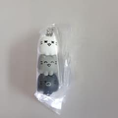 MINITEEN つまんでつなげてますこっと　ジュンのサムネイル