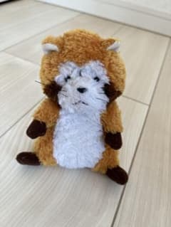 ラスカル　ぬいぐるみのサムネイル