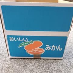 訳あり和歌山県早生みかん10キロ　S～Mサイズのサムネイル