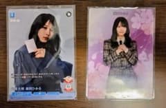 ビルディバイド ブライト 櫻坂46 応援大使 森田ひかる テリトリー
