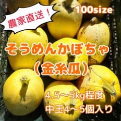 そうめんかぼちゃ（金糸瓜） 4.5kg〜5kgのサムネイル