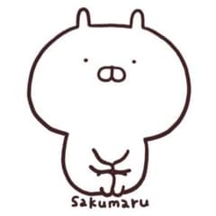【ぴっぴ様専用】のサムネイル