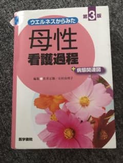 ウエルネスからみた 母性看護過程 第3版 +病態関連図のサムネイル