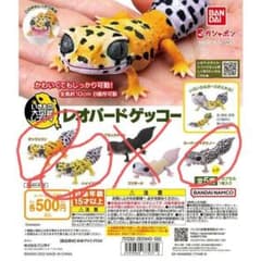 シンジ様専用　生き物大図鑑　４種類のサムネイル