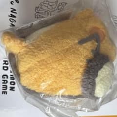 포켓몬 이치 반 쿠지 데덴네 D상