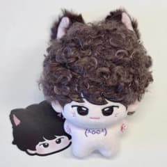 匿名配送 ウォヌ 10cm ぬいぐるみ ネコ 本体 セブチ svt - メルカリ