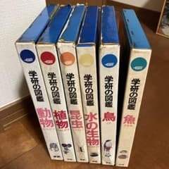 m92373321334_1.jpg?1780652822