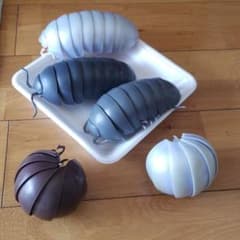 ガチャガチャのダンゴムシ5匹のサムネイル