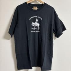 NIKE acg Tシャツ S ブラック