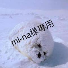 mi-na様専用のサムネイル