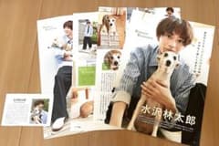 水沢林太郎 まとめ売り ペットポップスクエア vol.12 水沢林太郎 切り抜き抜けなし