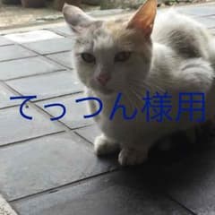 てっつん様用のサムネイル