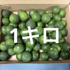 ハウススダチ 家庭用 約1キロ - メルカリ
