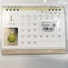 2017 インコ卓上カレンダーのサムネイル