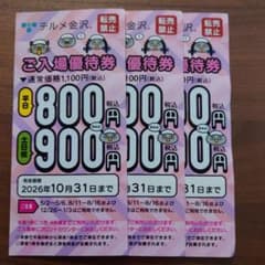 テルメ金沢 ご入場優待券 3枚セット - 3
