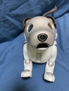 AIBO けんちゃんページ AIBO けんちゃん様専用ページ - メルカリ