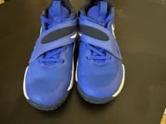 Nike バスケットボールシューズ  キッズ　21cmのサムネイル