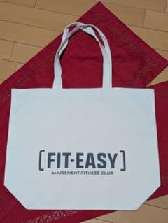 신품 미사용 맞는 쉬운 fiteasy 토트 백 체육관 가방