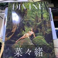 菜々緒写真集 DIVINEのサムネイル