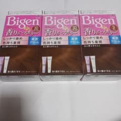 Bigen 香りのヘアカラー 3D 落ち着いた明るいライトブラウンのサムネイル