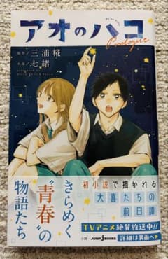 アオのハコ 小説　三浦糀著のサムネイル