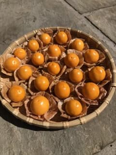 長野県信州原村高原野菜食用ホウズキ黄金のフルーツ美味しいのサムネイル