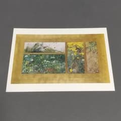 美術館グッズ【14124】 ポストカード 4羽の鳥の習作（リリエ