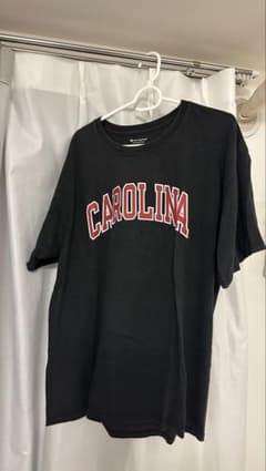 Champion チャンピオンTシャツ Lサイズのサムネイル