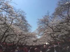 hanami☆様専用のサムネイル