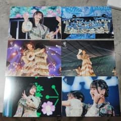 櫻坂46 小林由依卒業コンサート ポストカード  6枚セット 田村 中嶋 小島のサムネイル