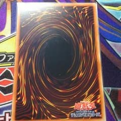 SR ベイコマックス　ハナピー様専用のサムネイル