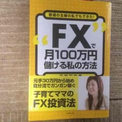 FXで月100万円儲ける私の方法のサムネイル