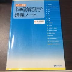 神経解剖学講義ノート : カラー図解のサムネイル